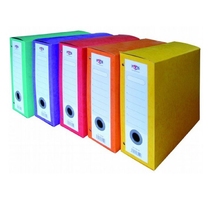 BOITE ARCHIVE ECOSSAIS II AVEC TRESSE CLASVIT 01051 